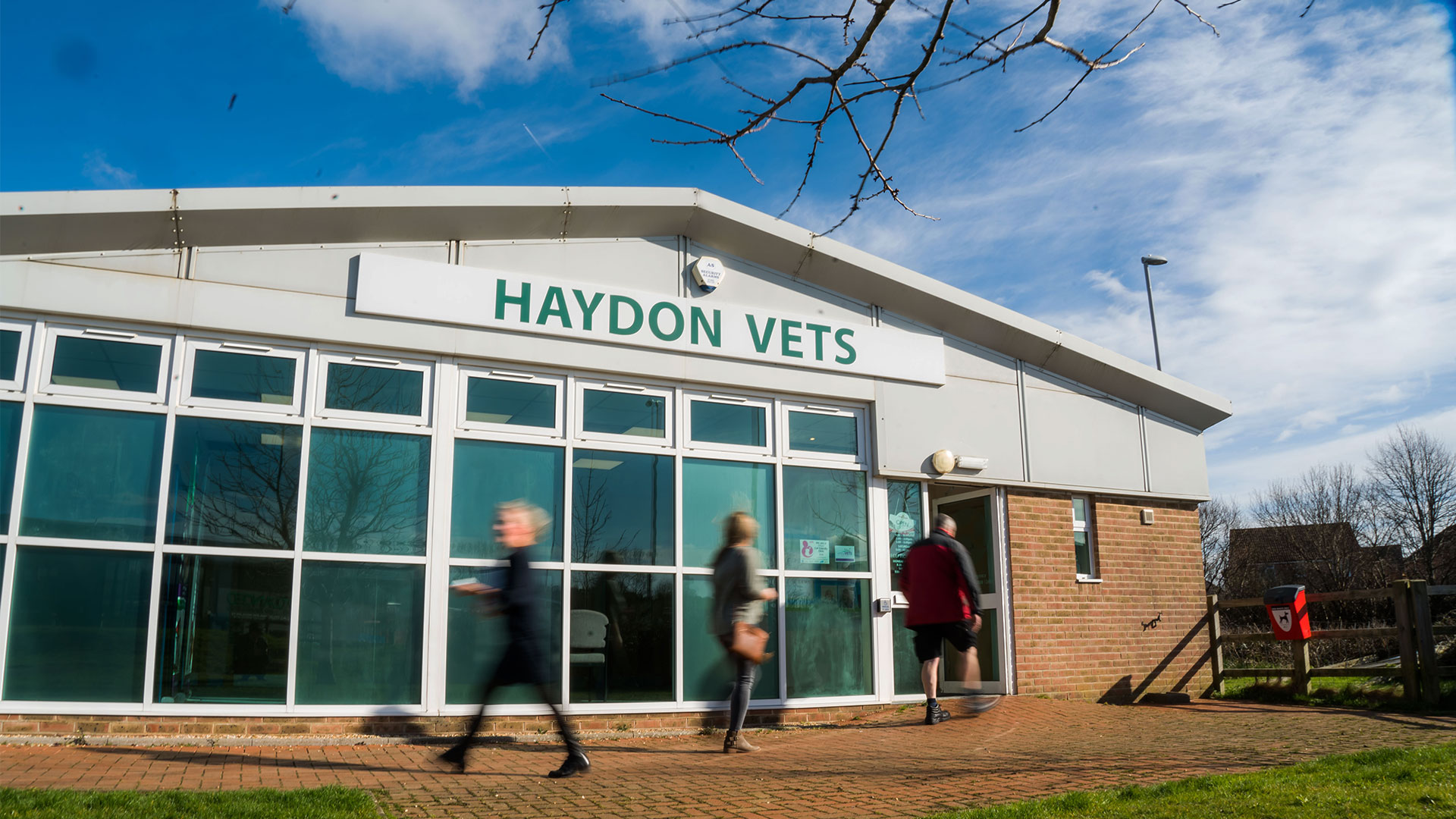 Bristol Dogs Home Opening Hours Bristol Dogs Home Opening Hours
