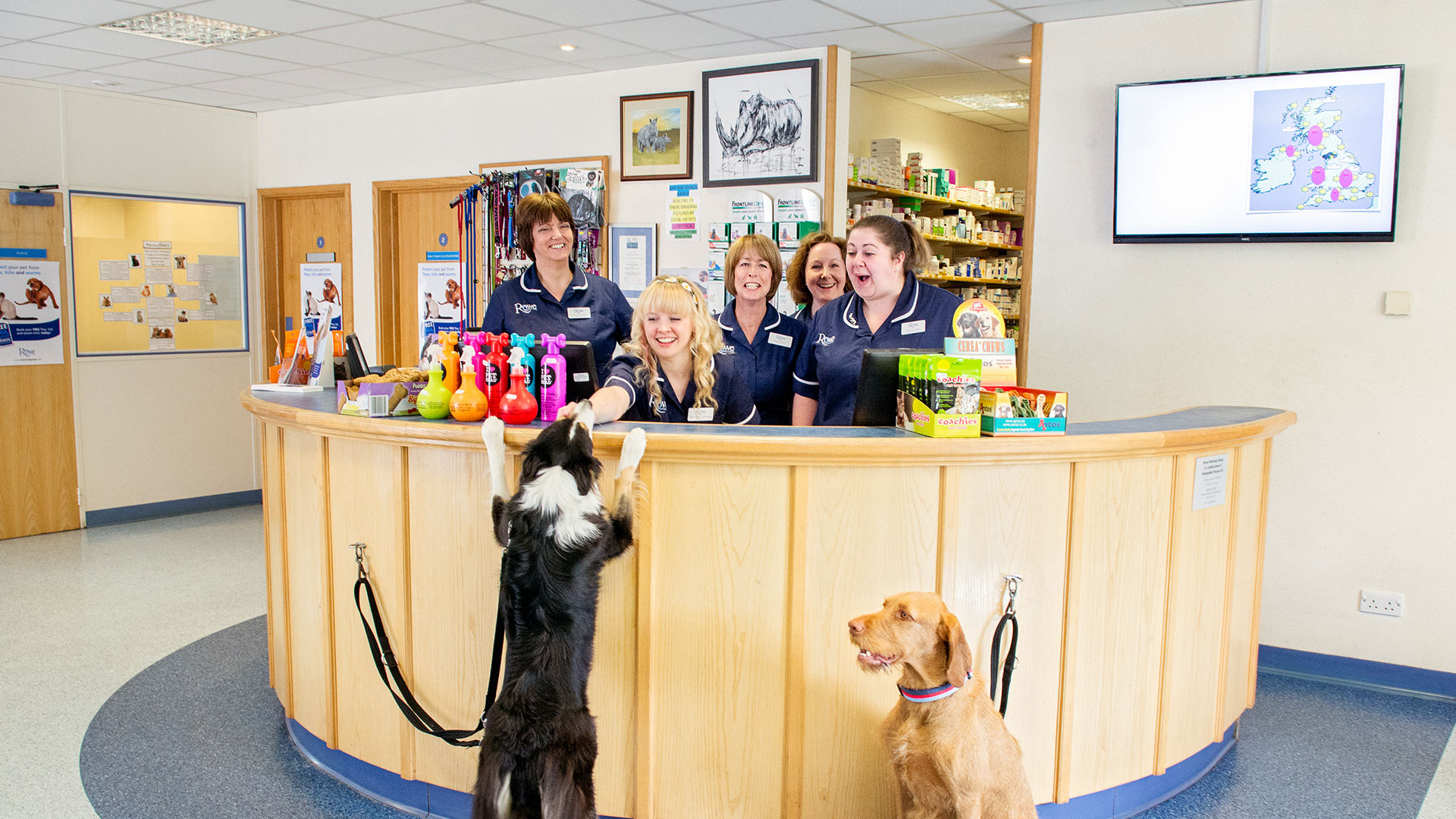 Vets in Bristol and Gloucestershire Rowe Veterinary Group Rowe Vet